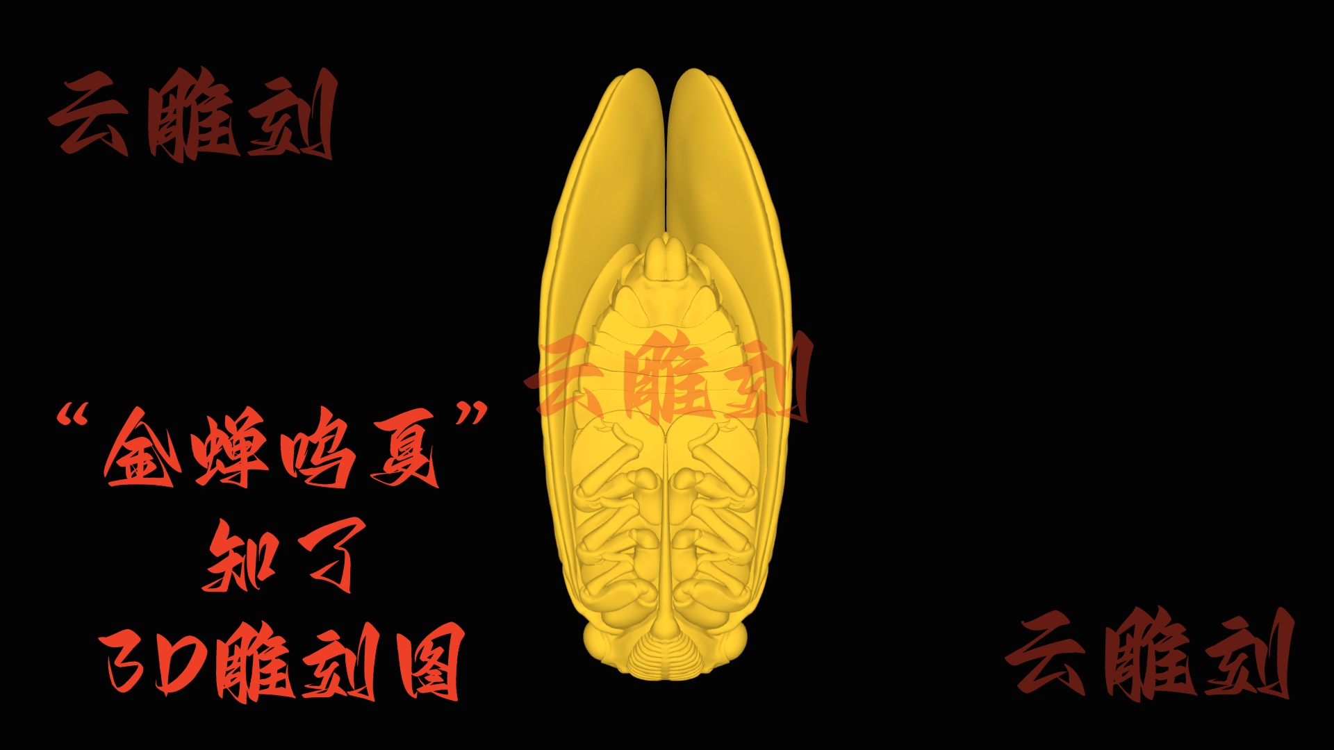 【“金蝉鸣夏” 知了木雕 3D 模型】传统吉意题材，木雕人必入的雅致摆件 & 文玩核心素材！